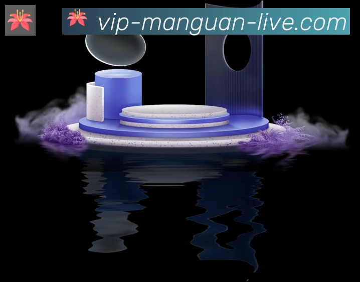 未来规划